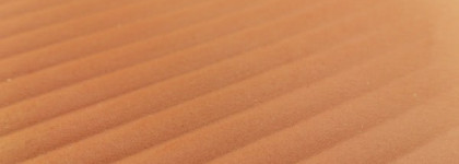 Pupa Desert Bronzing Powder #03