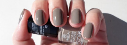 Такой изменчивый Alessandro Wild Love