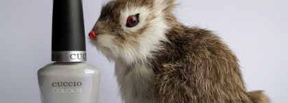 Cuccio Colour Spring Collection 2014  # 6099 Quick As A Bunny