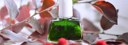 Про Seventeen - с любовью. Нежная забота и красивый маникюр