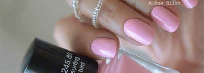 Итоги лета. Любимые лаки ANNY. Aloha Hawaii Nail Summer Collection