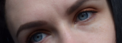 Shiseido Luminizing Satin Eye Color Trio BR 214 «Into the Woods»