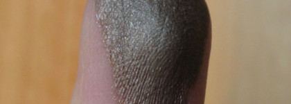 Мокрый песок под водорослями. Shiseido Makeup Shimmering Cream Eye Color BR709 Sable