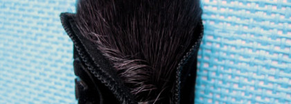 Первая среди Шанель - кисть для пудры Chanel Powder Brush №1