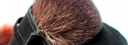 Кабуки Chanel Le Petit Pinceau и "шанелезамещение" - сравнение с Л'Этуаль 220