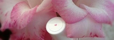 Отпуск на Фиджи или Essie Fiji