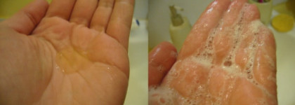 Meine Lieblings Shampoo, или красота по-немецки