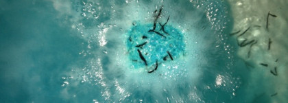Большое синее море с Lush Big Blue Bath Bomb