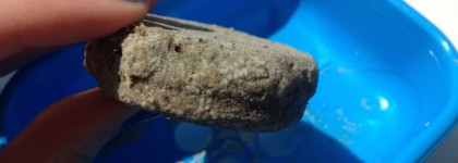 Lush Copperhead Shampoo Bar