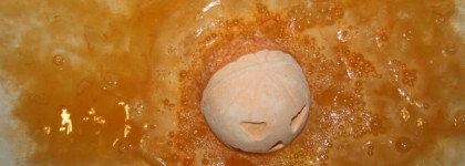 Фанта с ванилью и корицей ко Дню всех святых - Lush Pumpkin Bath Bomb