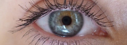 Мои впечатления о туши Rimmel London Scandaleyes Show Off  Mascara