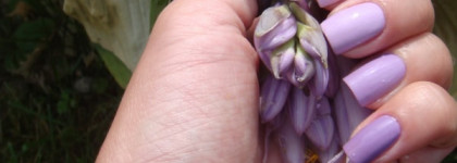 Фиолетово-розовый градиент с Vinylux