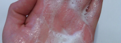 Битва очищающих пенок: Shiseido Ibuki Gentle Cleanser vs. Clarins Gentle Foaming Cleanser With Shea Butter