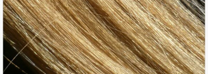 Золотое сияние волос вместе c Sebastian Professional Light Shampoo 1000 мл - Легкий шампунь для блеска волос