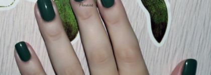 Поговорим о зелененьком?  EL Corazon  Charm and beauty №891 и  Dance legend Chameleon Wazowski 095