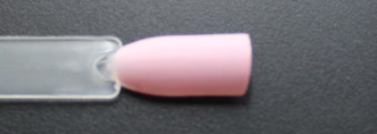 Нежная зефирка от EL Corazon Matte Effect №111