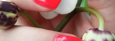 Любимые летние "неоники" Dance Legend