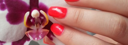 Любимые летние "неоники" Dance Legend