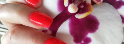 Любимые летние "неоники" Dance Legend