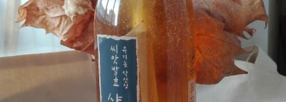 Органический шампунь для волос Whamisa Organic Seeds shampoo (dry scalp)