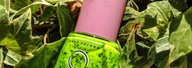 Dance Legend - Exotic Fruit -953