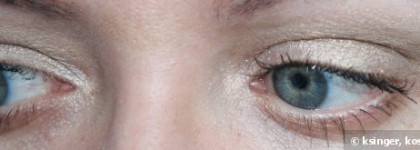 Палетка теней Eva mosaic № 01