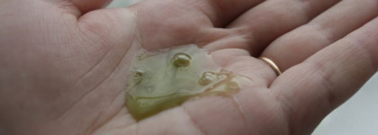 Моя Planeta Organica