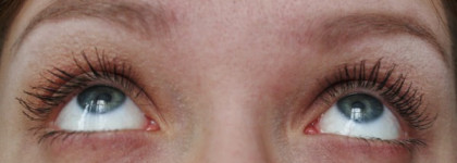 Сравнение двух тушей одного производителя: Divage maxi 90x60x90 и Divage extra volume & lenght 90x60x90 в чёрном цвете