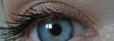 Max factor wild shadow pot оттенки 35 auburn envy и 40 fierce pink
