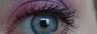 Max factor wild shadow pot оттенки 35 auburn envy и 40 fierce pink