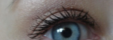 Max factor wild shadow pot оттенки 35 auburn envy и 40 fierce pink