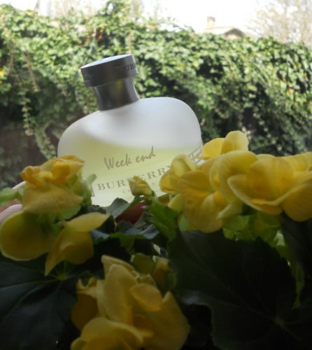 Burberry Weekend Eau de Parfum - аромат, к которому я буду всегда  возвращаться | Отзывы покупателей | Косметиста