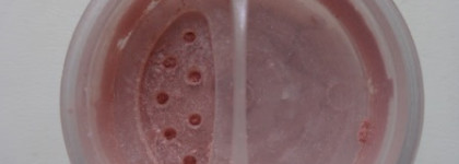 Lily Lolo Mineral Eye Shadow в оттенке Pink champagne