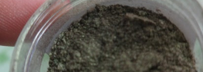 Tammy Tanuka Sigil Inspired Выращивающая мхи