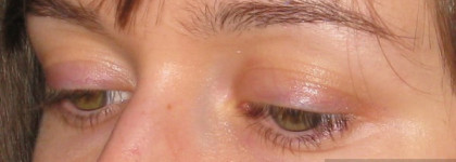 Shiseido Luminizing Satin Eye Color Trio BE 213 Nude