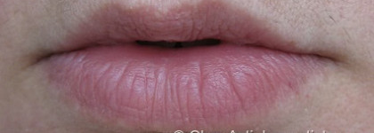 Нежнейшая и блестящая помада  Kiko ultra glossy stylo 819