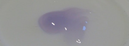 Yves Rocher Lavande Bio Anti-Fatique Iced Gel  – Охлаждающий гель для снятия усталости ног «Органическая лаванда»