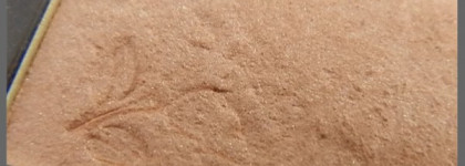 Star Bronzer Intense - Стойкая пудра с бронзирующим эффектом от Lancome в оттенке 03 - Eclat bronze