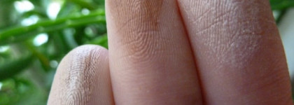 Estée Lauder: Набор декоративной косметики с тушью Double Wear