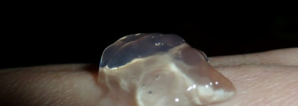 Пост о трех отшелушивающих средствах