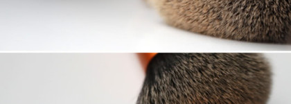 Chanel Vitalumiere Aqua Ultra-light Skin Perfecting Makeup SPF 15 #12 Beige rose