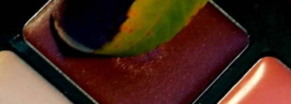 Inglot Freedom System Lipstick в оттенке №79