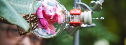 Космический гиацинт Supra Floral EDP из коллекции Les Exceptions Mugler