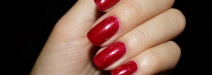 Golden Rose Rich Colour №34, №45