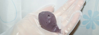 Окрашивание волос в "интересном положении" - Schwarzkopf Professional Igora Expert Mousse №3-0 Semi-Permanent Mousse color