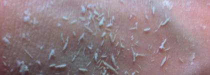 Мои помощники для чувствительной кожи: Sisley Crème Gommante pour le Visage и Sisley Masque Eclat Express