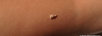 ArtDeco Pure Minerals Eyeshadow Base Sensitive - Минеральная основа под тени для чувствительной кожи