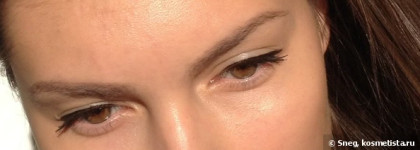 Dior Style Liner – Интенсивная жидкая подводка для глаз в оттенке No. 094 (Black)