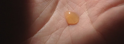 Clarins Radiance-Plus Golden Glow Booster - Концентрат с эффектом искусственного загара