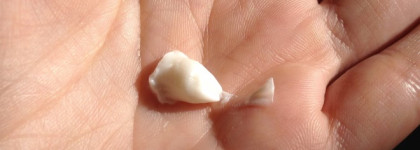 Два средства от Shiseido - Мягкая Очищающая пенка и Балансирующий Софтнер серии Ibuki